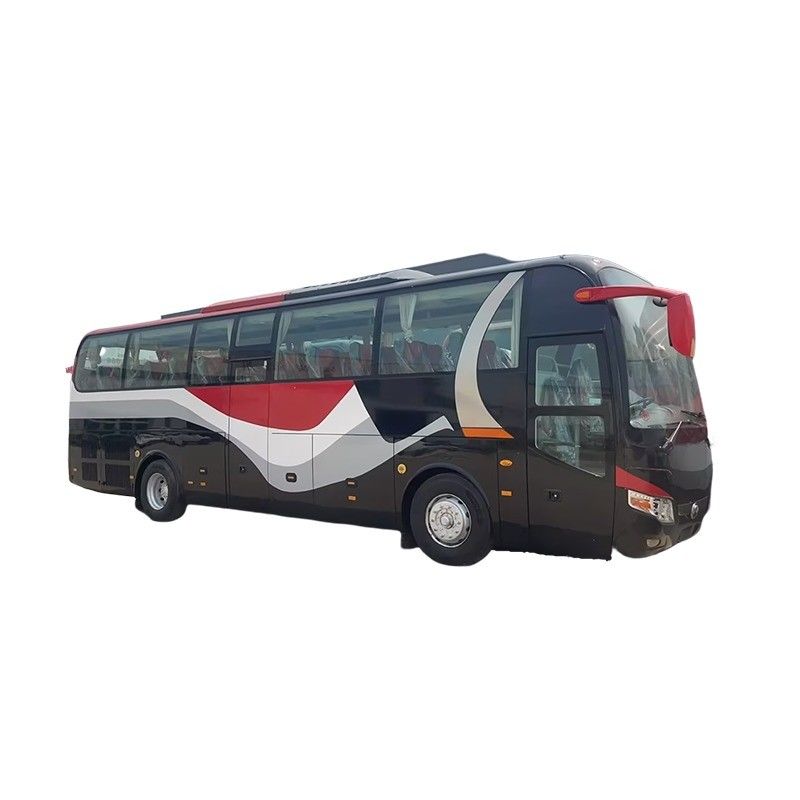 11M バース バス 様々 色 の 座席 31 50