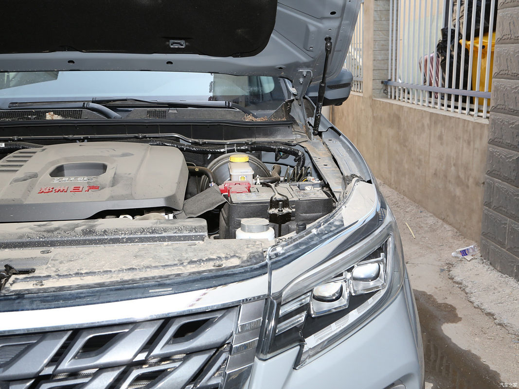 人気 ドンフェンリッチ 7 4*2 LHD ガソリン自動ピックアップ トラック マックス速度 170km/h